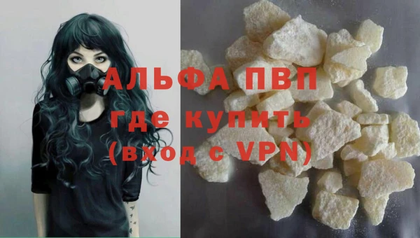 бошки Бородино