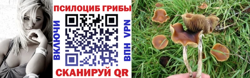 Галлюциногенные грибы мухоморы  Эртиль 